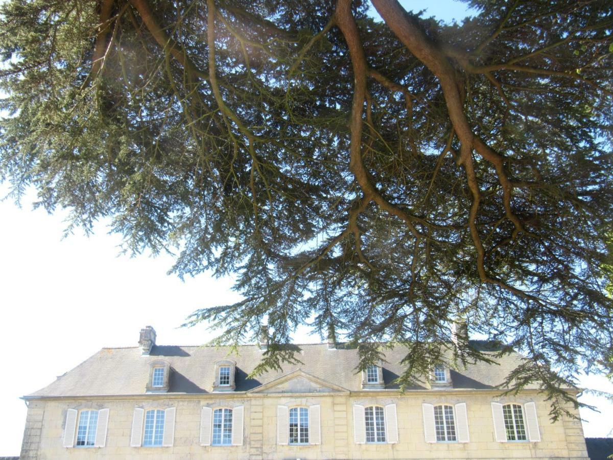 Bed & Breakfast Chateau Les Cedres Bed & Breakfast Bretteville-l'Orgueilleuse Luaran gambar